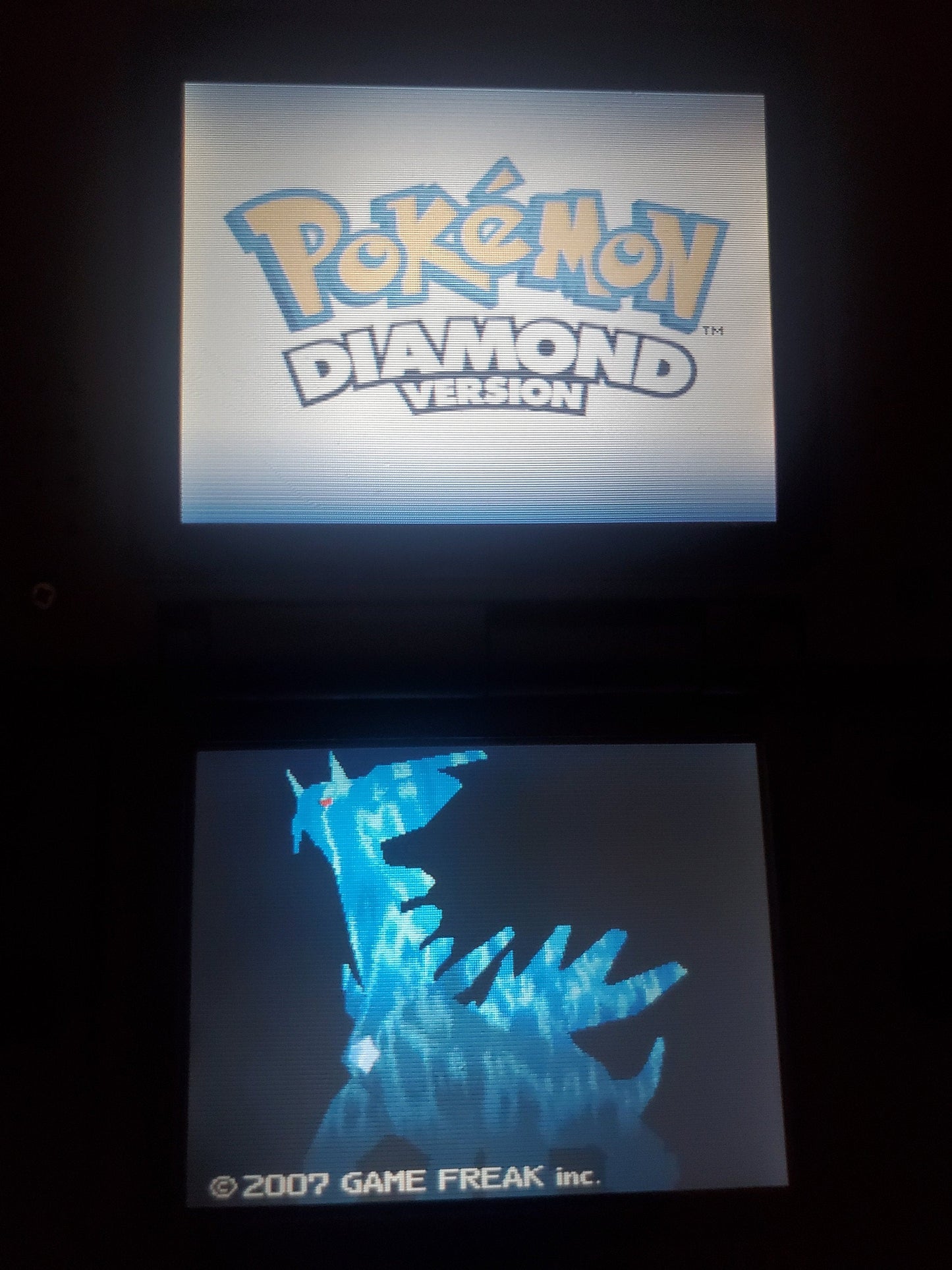 Nintendo DS Video Game Cartridge Collection NDS Pokemon VintageVideoGameStore